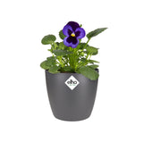 Elho - brussels round mini 10,5cm anthracite