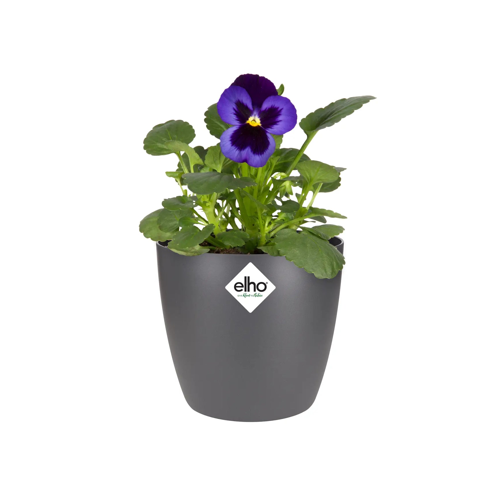 Elho - brussels round mini 10,5cm anthracite