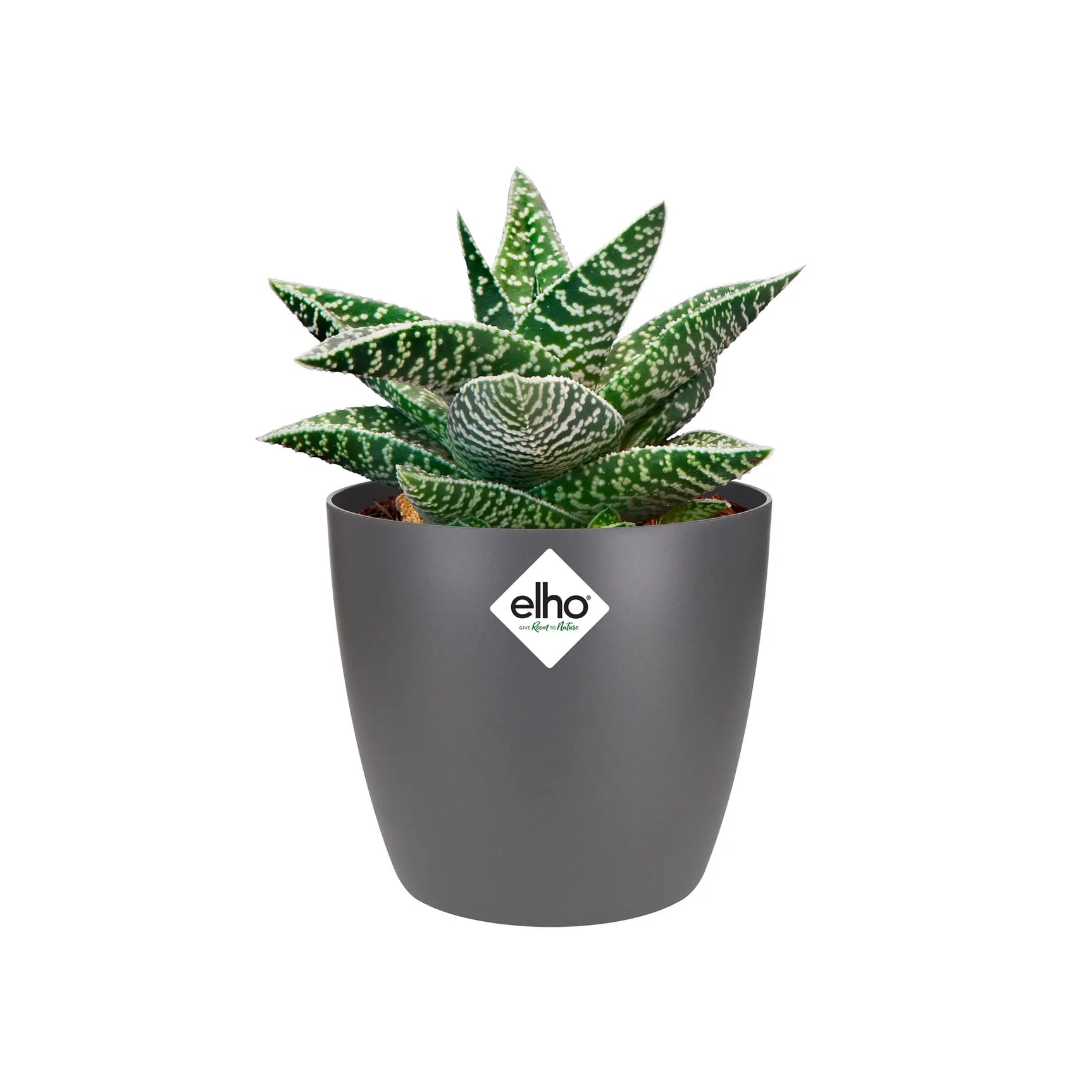 Elho - brussels round mini 9,5cm anthracite