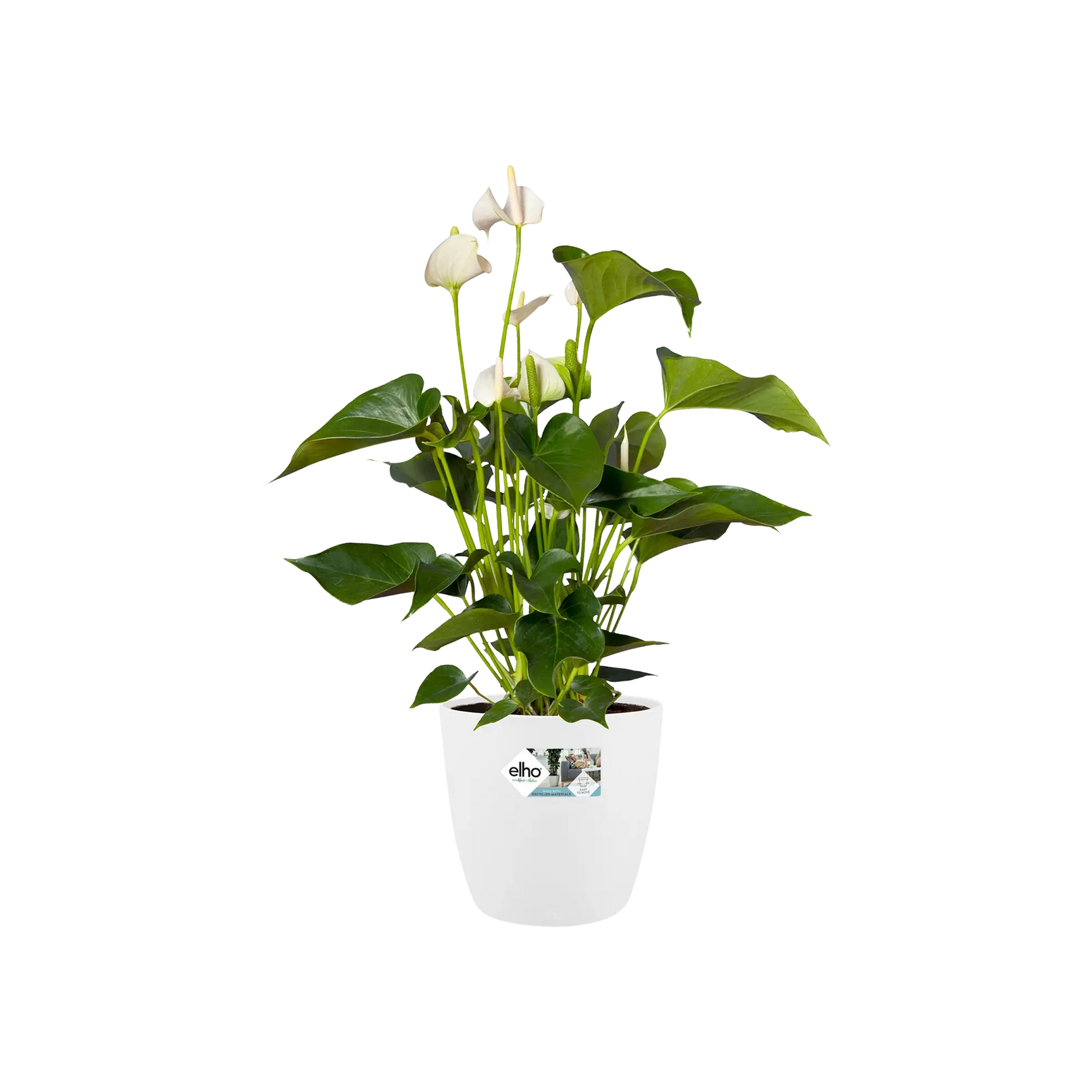 Elho - brussels round 25cm white