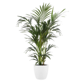 Elho - brussels round 16cm white