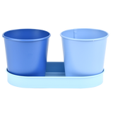 Esschert design - 50 tinten blauw bloempotjes op tray