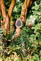 Bijenhotel op een boomstam met ronde insectenopening