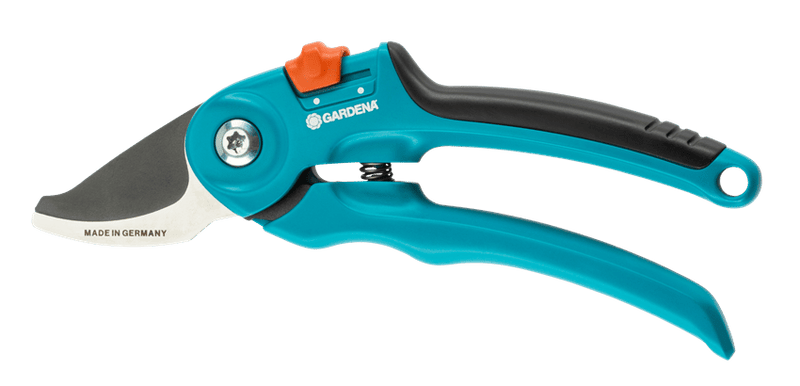 Snoeigereedschap