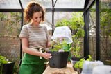Elho - green basics kweekpot vierk. allin1 B 30 x H 25 x D 30 cm