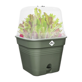 Elho - green basics kweekpot vierk. B 35 x H 29 x D 35 cm
