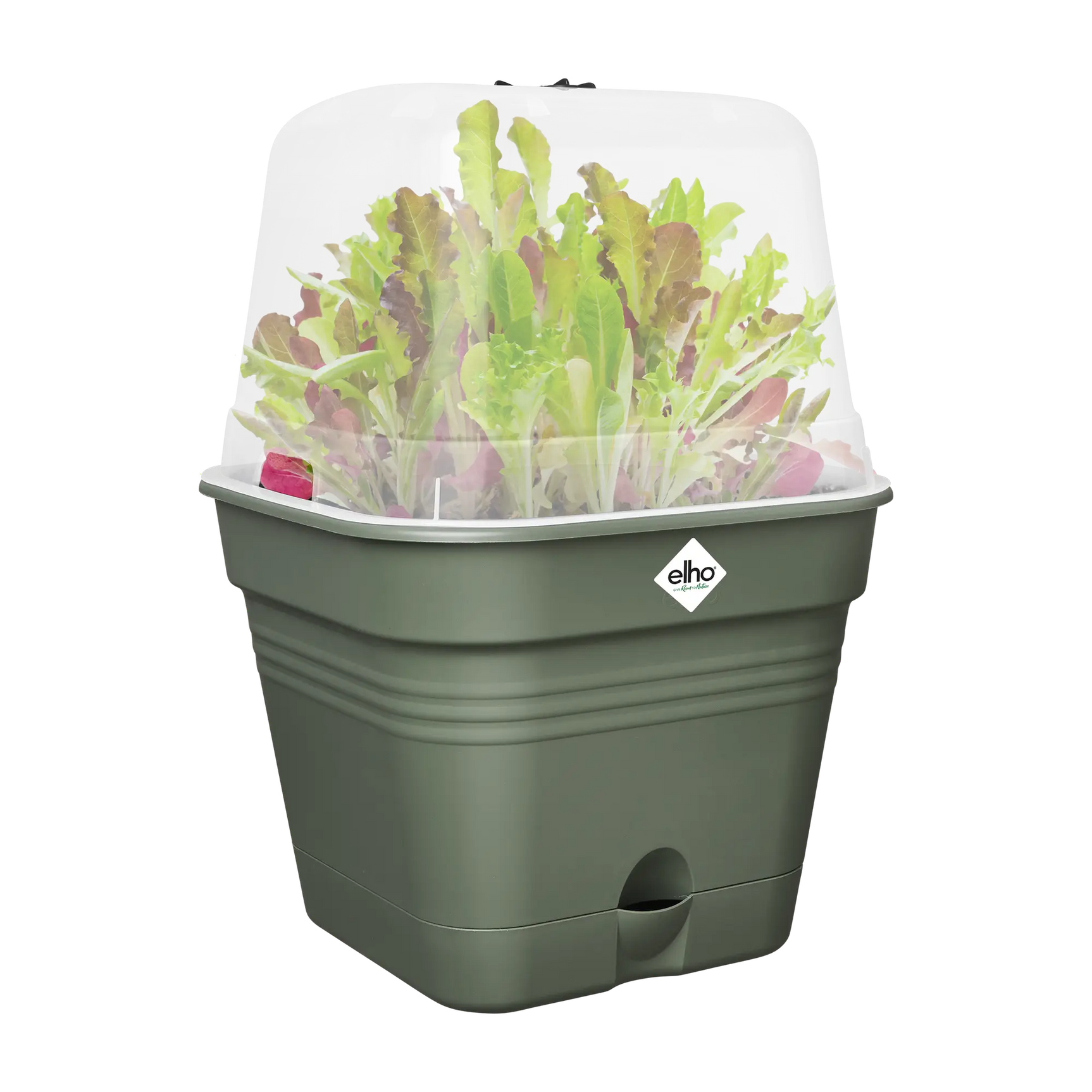 Elho - green basics kweekpot vierk. B 35 x H 29 x D 35 cm