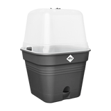 Elho - green basics kweekpot vierk. allin1 B 15 x H 12 x D 15 cm