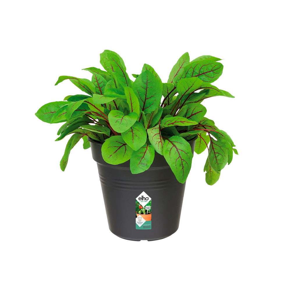 Elho - gb growpot 19cm living black