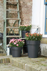 Meerdere zwarte Elho plantenpotten met bloemen op het terras