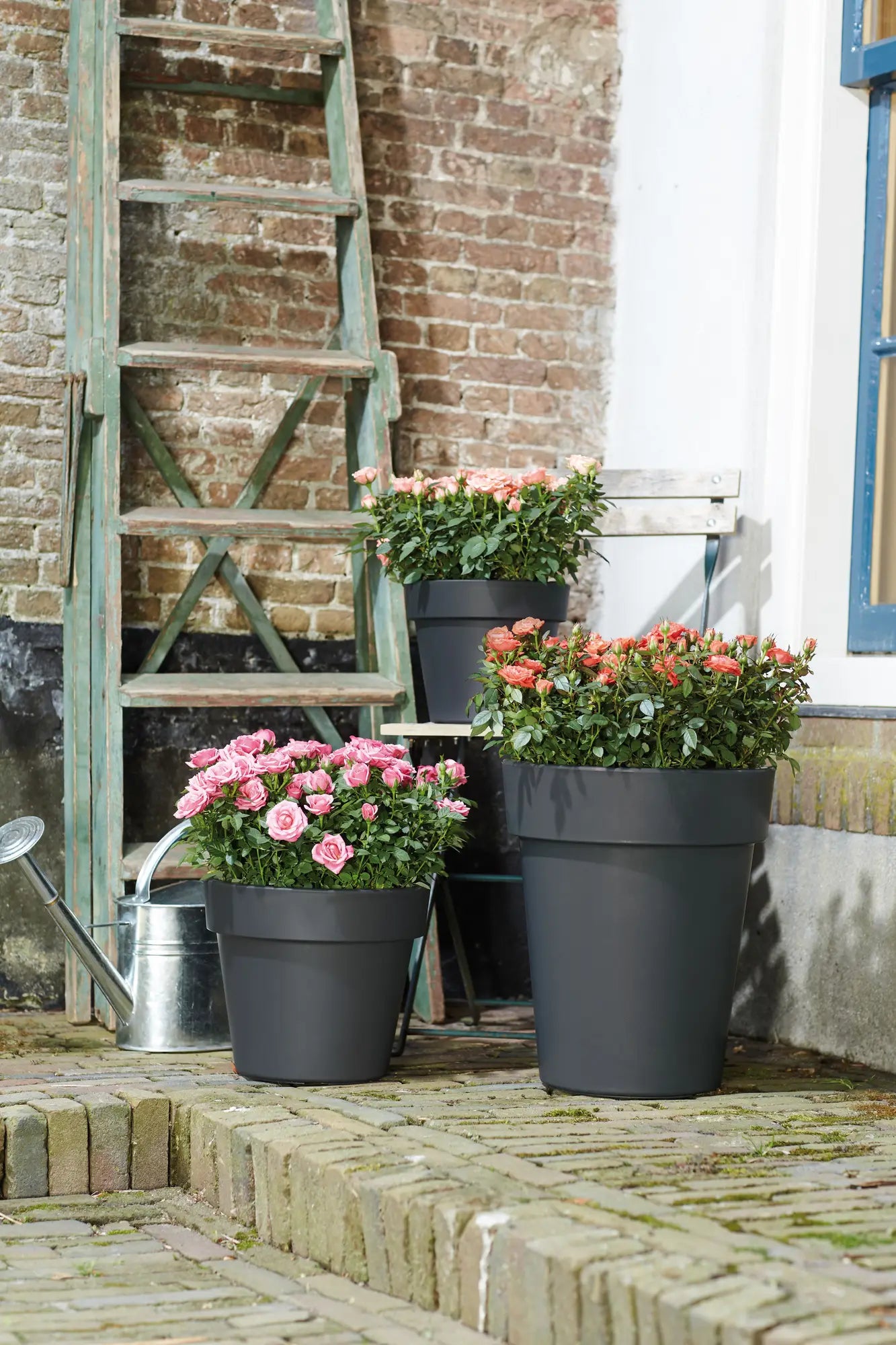 Meerdere zwarte Elho plantenpotten met bloemen op het terras