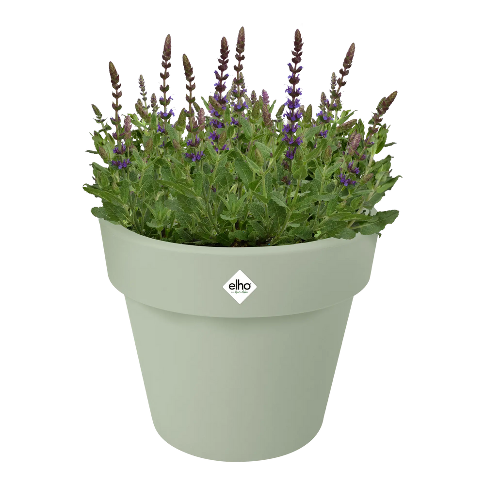 Elho plantenbak lichtgroen met bloemen en siergras bovenin.