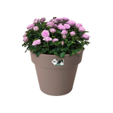 Elho plantenbak taupe met roze bloemen en groene bladeren