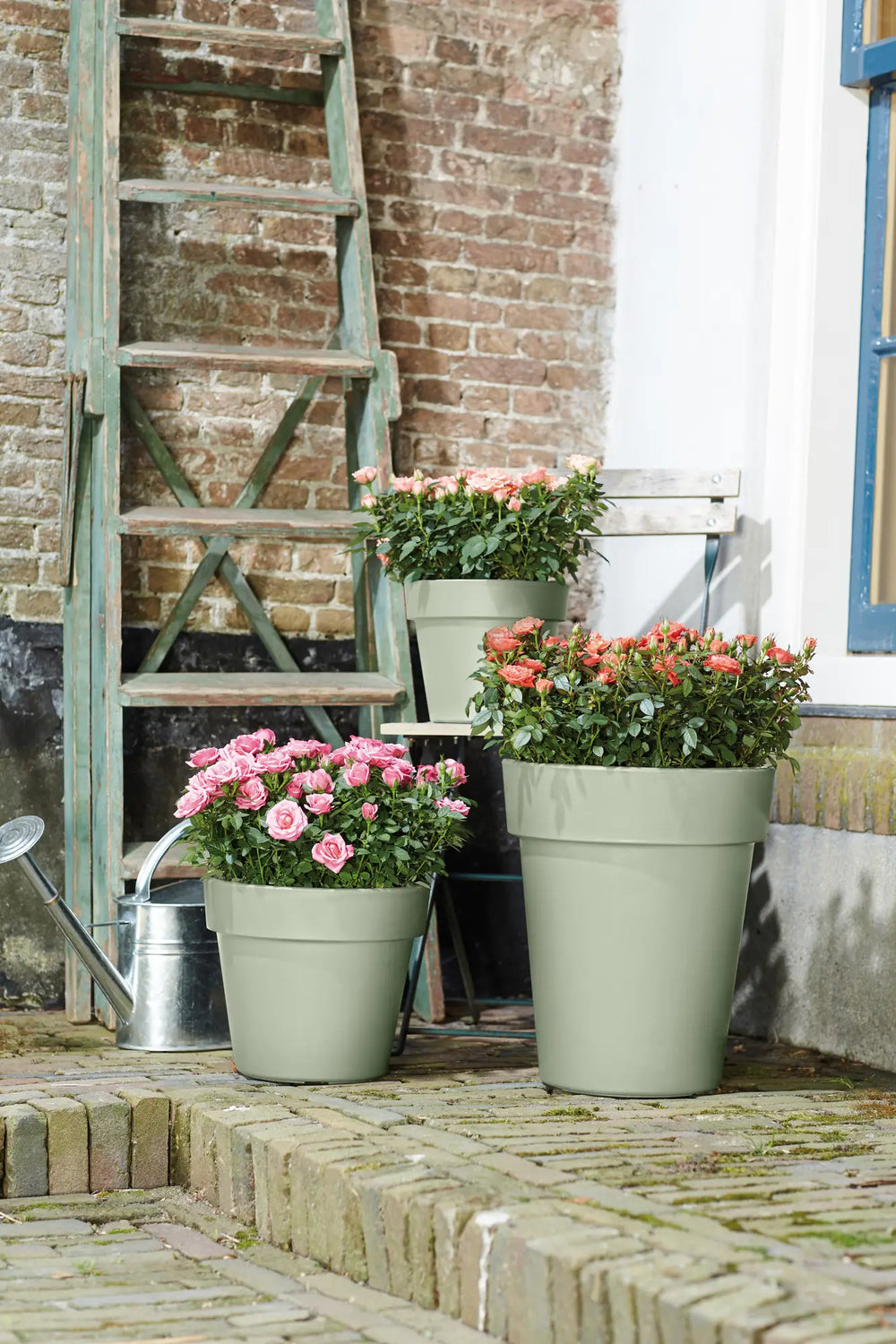Meerdere lichtgroene Elho plantenbakken met bloeiende bloemen op terras.