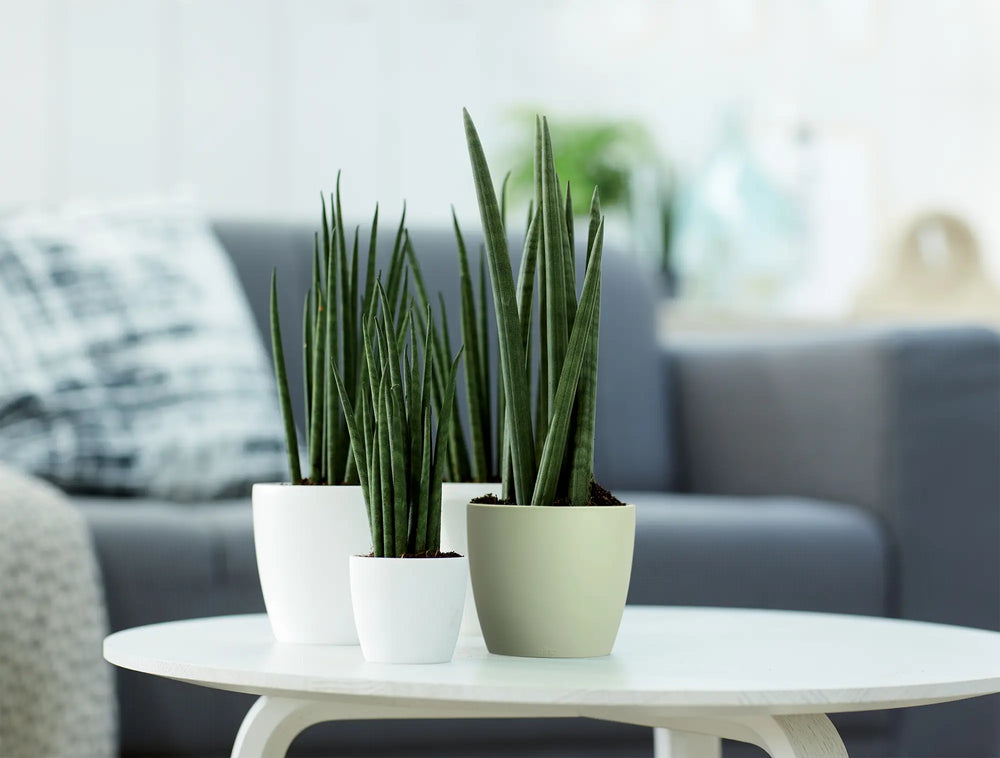 Elho - brussels rond mini 10,5cm sorbet groen