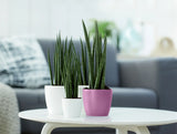 Elho - brussels rond mini 12,5cm vivid violet