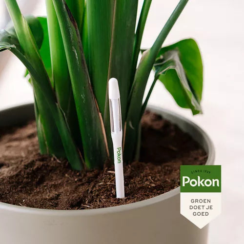 Watermeter voor kamerplanten, witte prikstok met blauwe punt in potgrond