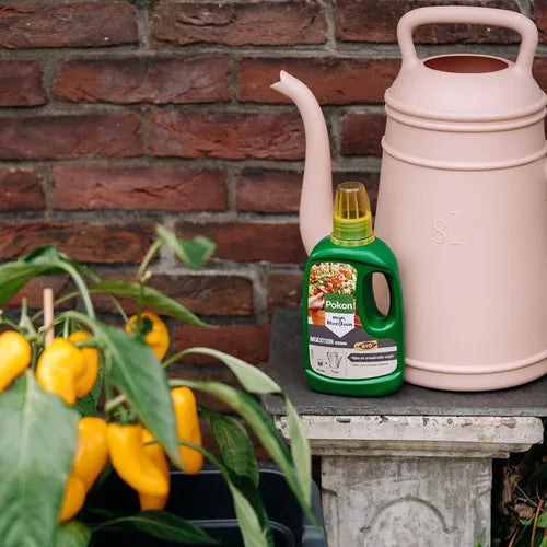 Pokon BIO moestuinvoeding fles 500 ml op tuinplank met chilipepers in de buurt