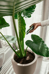 Elho - smart pebble