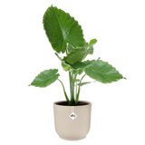 Elho - vibes fold rond 35cm linnen wit