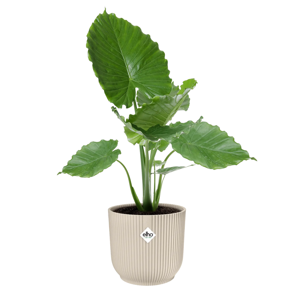 Elho - vibes fold rond 30cm linnen wit