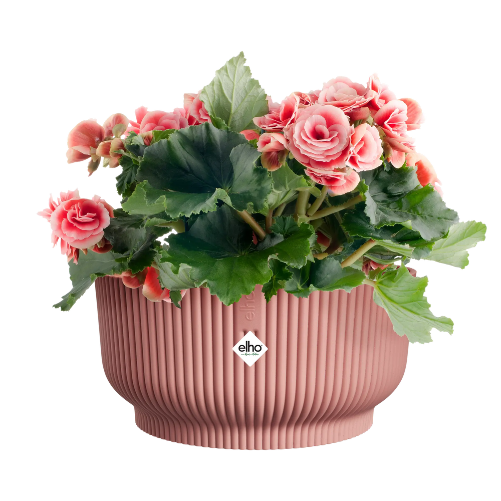 Elho - vibes fold bowl 25 delicaat roze