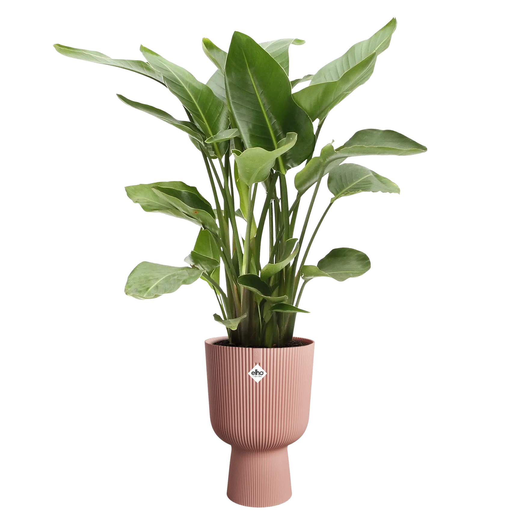 Elho - vibes fold coupe 30cm delicaat roze