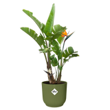 Elho - vibes fold rond 40cm varengroen