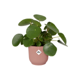 Elho - vibes fold rond 18cm delicate pink