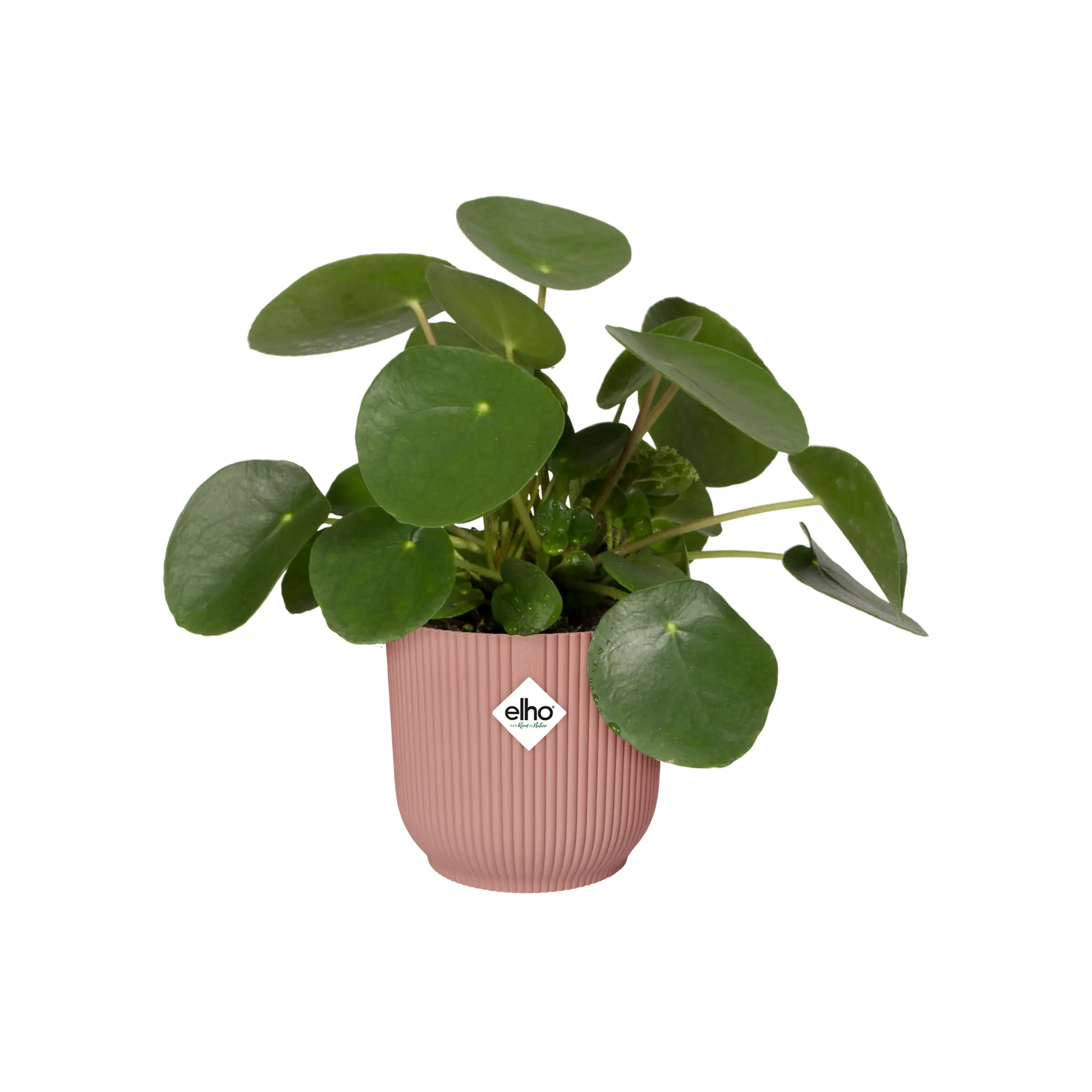 Elho - vibes fold rond 18cm delicate pink