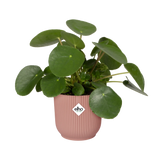 Elho - vibes fold rond 40cm delicaat roze