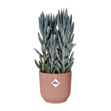 Elho - vibes fold rond 35cm delicaat roze