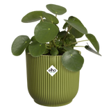 Elho - vibes fold rond 25cm varengroen
