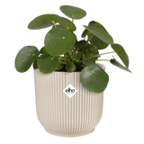 Elho - vibes fold rond 25cm linnen wit