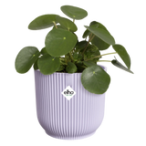 Elho - vibes fold rond 14cm zacht lila
