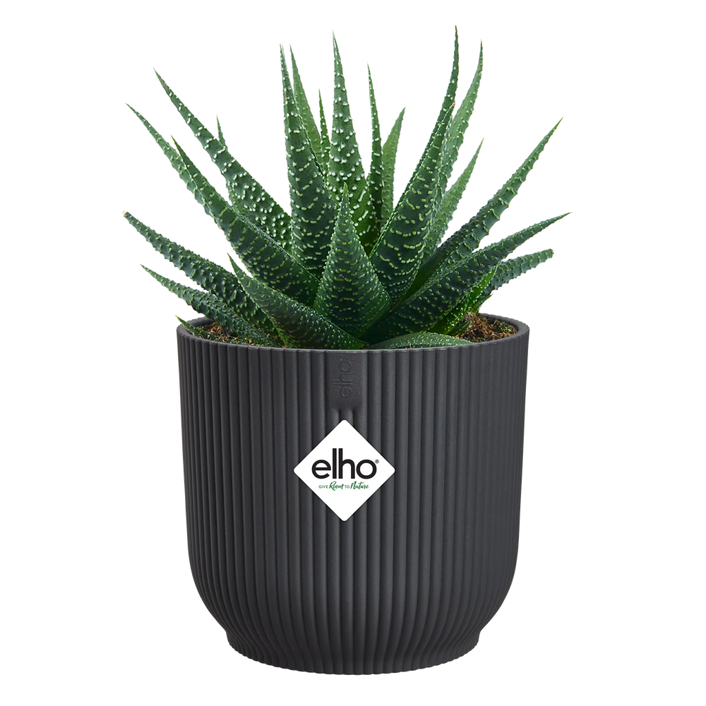 Elho - vibes fold rond mini 11cm antraciet