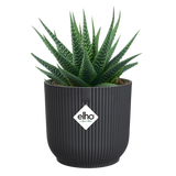 Elho - vibes fold rond mini 11cm antraciet