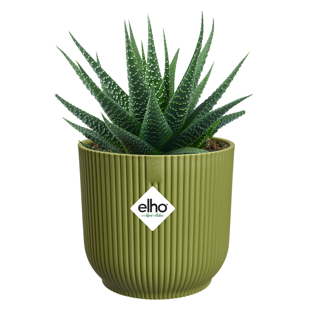 Elho - vibes fold rond mini 9cm varengroen