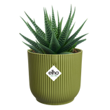 Elho - vibes fold rond mini 9cm varengroen
