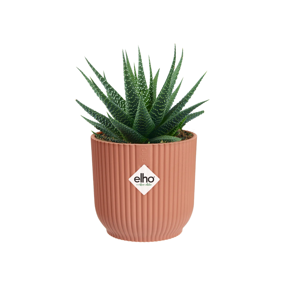 Elho - vibes fold rond mini 11cm delicate pink