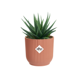 Elho - vibes fold rond mini 11cm delicate pink
